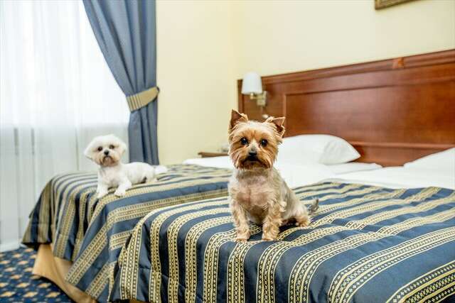 Гостиница Волгоград Волгоград-45