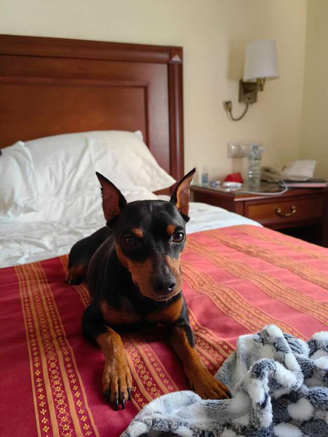 Гостиница Волгоград Волгоград-111